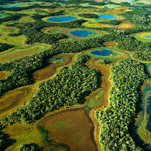 Pantanal